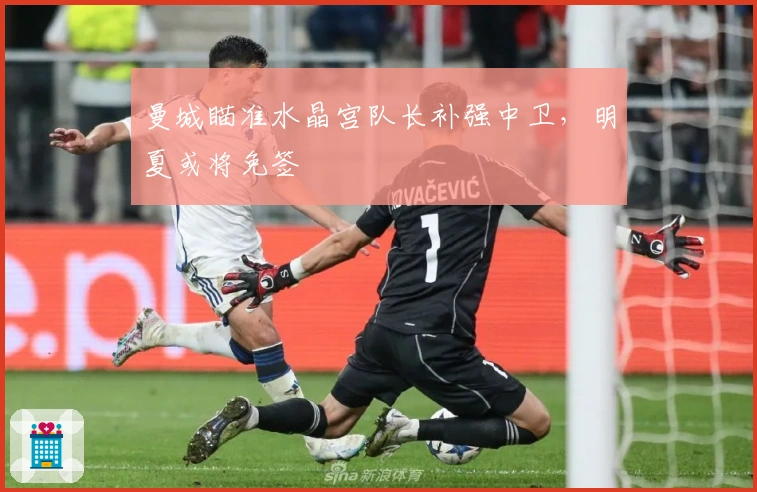 曼城瞄准水晶宫队长补强中卫，明夏或将免签