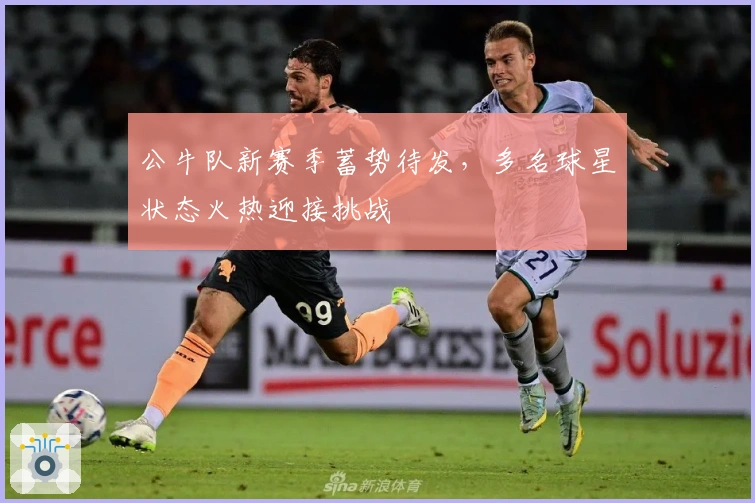 公牛队新赛季蓄势待发，多名球星状态火热迎接挑战