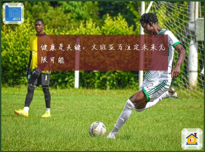 健康是关键，文班亚马注定未来无限可能